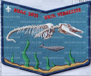 Patch Scan of 440668- NOAC 2022