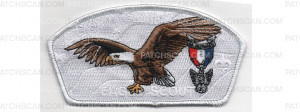 Patch Scan of Eagle Scout CSP (PO 100085)