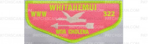Patch Scan of Whitaheumi Flap (PO 100280)