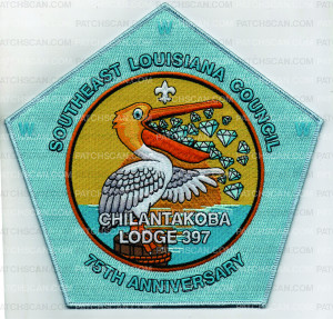 Patch Scan of 75th Anniversary Pentagon (PO 101512)