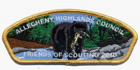 Allegheny FOS - Yellow Border Allegheny Highlands Council #382