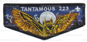 Patch Scan of NOAC-2022 Tantamous 223 Flap (Night) 