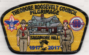 Patch Scan of THEODORE ROOSEVELT PILGRIMAGE