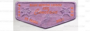 Patch Scan of 89833 Conclave Flap (PO 89833)