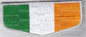 Patch Scan of Ireland Flag OA Flap