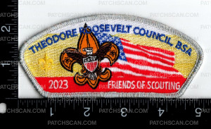 Patch Scan of 163255-Silver