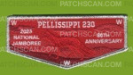 Patch Scan of Pellissippi 230 2023 NJ flap silver metallic border