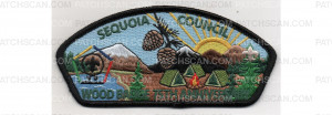 Patch Scan of 75th Anniversary Wood Badge CSP (PO 101336)