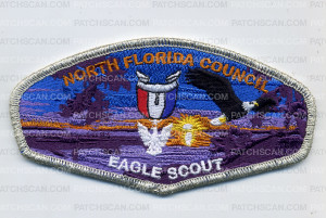 Patch Scan of NFC NESA PATCH 2016