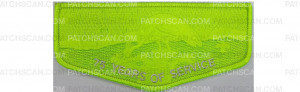 Patch Scan of 75 Years of Service Flap (PO 89662)