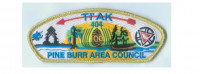 100th Anniversary CSP (85126 v-1) Pine Burr Area Council #304