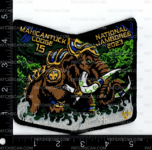 Patch Scan of 161448-Pocket