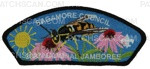 Patch Scan of Sagamore Council- 2023 NSJ- Bee CSP