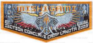 Patch Scan of mishigami section flap 2023