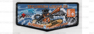 Patch Scan of 2023 Summer Fellowship Flap (PO 100674)