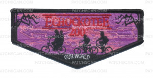 Patch Scan of North Florida Council - Echockotee Our World Top Flap 