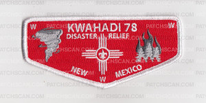 Patch Scan of Disaster Relief Conquistador Council Flap