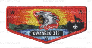 Patch Scan of Owaneco 313 Flap