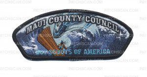 Patch Scan of Maui County Council - BSA - Waves 