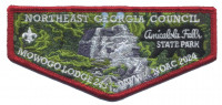 NEGC NOAC 2024 - Amicalola Falls Northeast Georgia Council #101