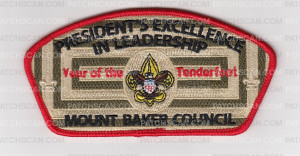 Patch Scan of Presidents Excellence 2021 CSP