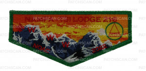 Patch Scan of Nampa-Tsi Lodge 216 NOAC 2022 Flap (Green Metallic) 