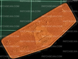 Patch Scan of Service Corp Set OA Flaps Orange