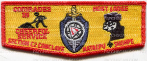 Patch Scan of ns lodge host flap
