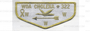 Patch Scan of Child Cancer Cure Flap (PO 87281)