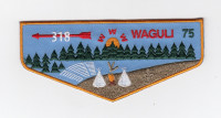 Wagulli 75 Twill Flap Northwest Georgia Council #100