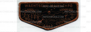 Patch Scan of Fall Fellowship Flap (PO 101480)