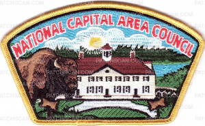 Patch Scan of NCAC Buffalo Wood Badge CSP Gold Border