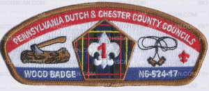 Patch Scan of Wood Badge N6-524-17