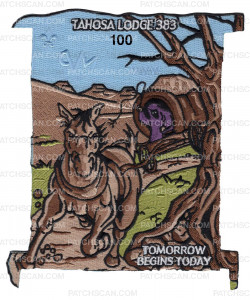 Patch Scan of P24797_G Numbered Tahosa Lodge NOAC 2022 Trader Set