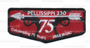 Patch Scan of Pellissippi 230 Flap NOAC 2018 (Contingent)