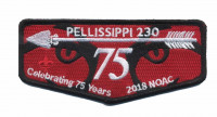 Pellissippi 230 Flap NOAC 2018 (Contingent) Great Smoky Mountain Council 