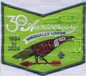 Patch Scan of 462364- Nisqually Pocket cover