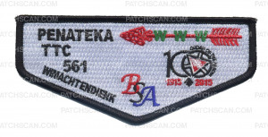 Patch Scan of 100th Anniversary- Penateka Flap 