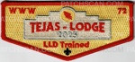 Patch Scan of Tejas Lodge - LLD Trained Flap