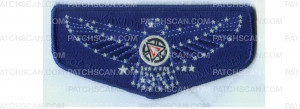 Patch Scan of 100th Anniversary OA flap (84854)