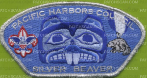 Patch Scan of 447221 A Silver Beaver