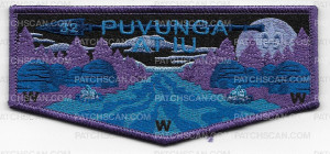 Patch Scan of Puvunga pocket flap
