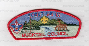 Patch Scan of Scout Me In CSP