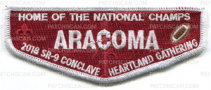Patch Scan of aracoma 2018 section red