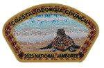 CGC 2023 NSJ Hawksbill CSP  Coastal Georgia Council