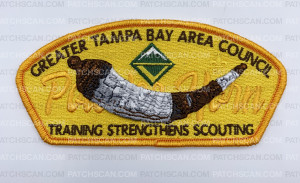 Patch Scan of Greater Tampa Bay Training Strengthens Scouting