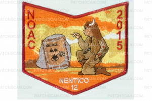 Patch Scan of Nentico NOAC pocket patch (84656)