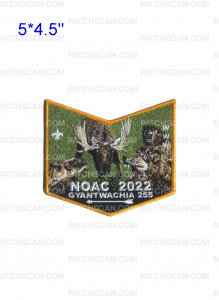 Patch Scan of GYANTWACHIA 255 NOAC 2022 Wolf/Moose Bottom Piece