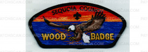 Patch Scan of Wood Badge CSP Eagle (PO 101581)