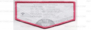 Patch Scan of Campership Flap (PO 87570)